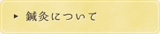 鍼灸について